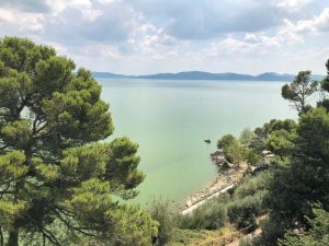 Read more about the article Castiglione del Lago: tra ulivi e aglione fresco