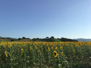 Read more about the article San Quirico d’Orcia: sotto il sole della Toscana in una decappottabile anni 80