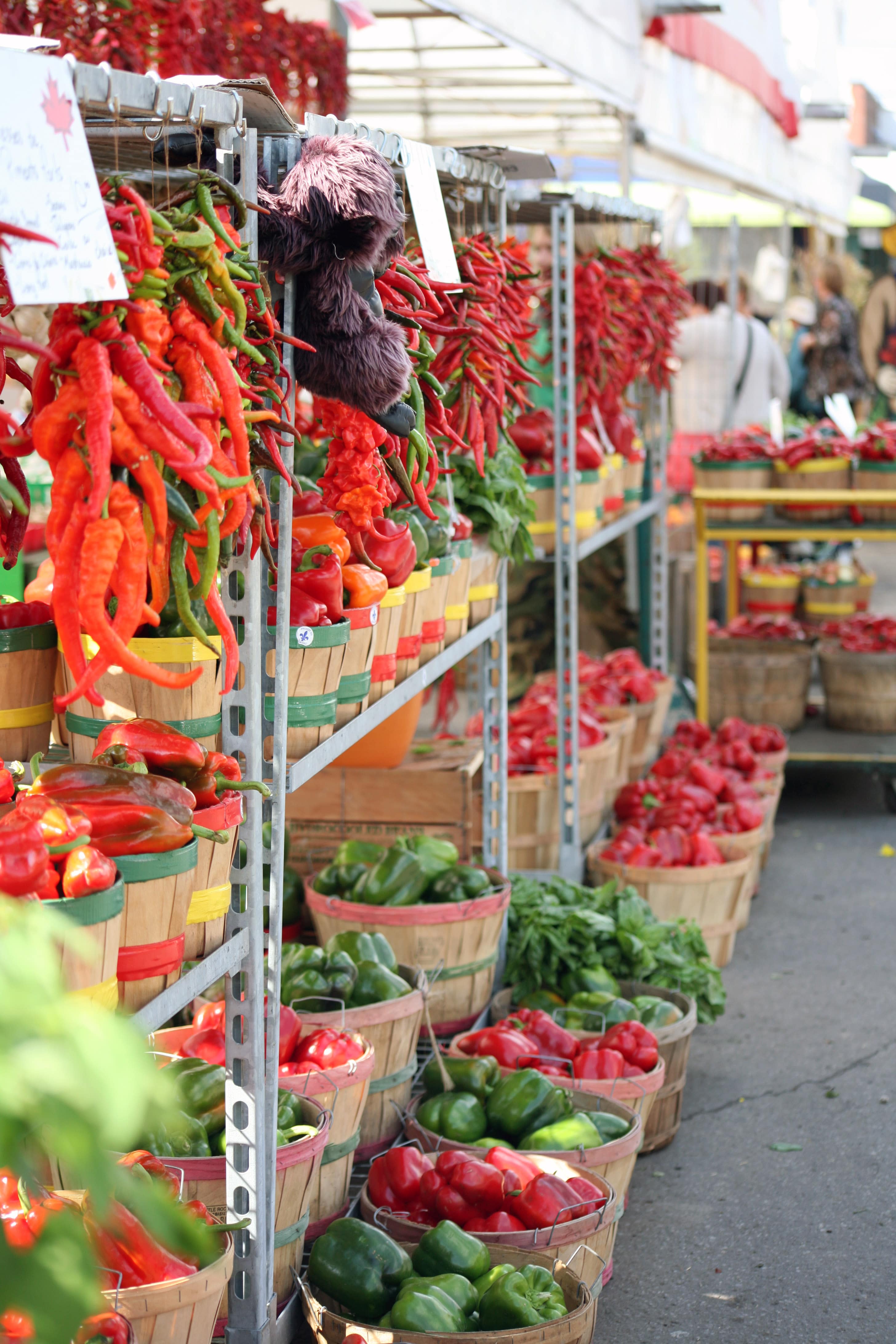 Jean Talon Covered Market peppers-min